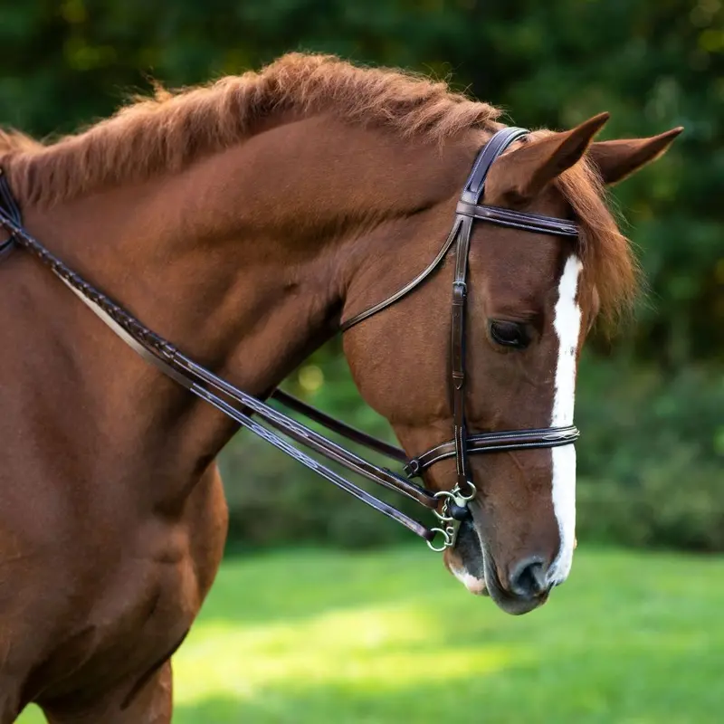 Red Barn Fancy Plain Reins 1
