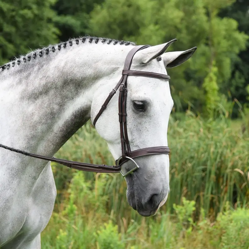 Red Barn Indio Hunter Bridle 1