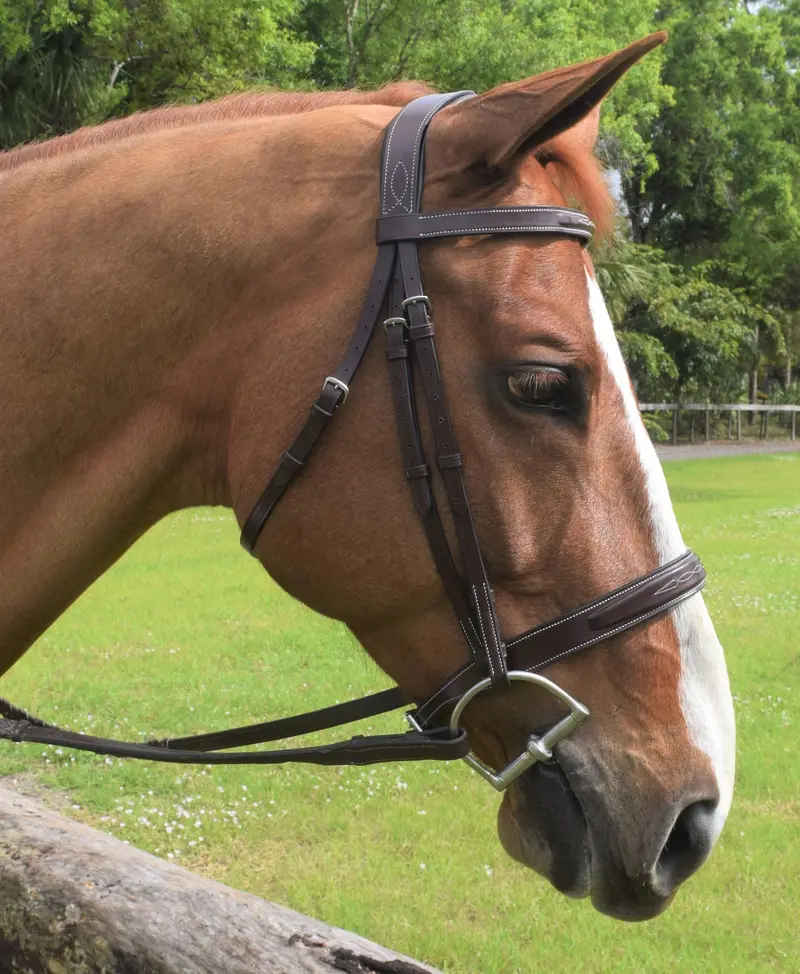 Red Barn Indio Hunter Bridle 2