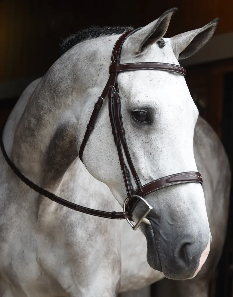 Red Barn Indio Hunter Bridle 3
