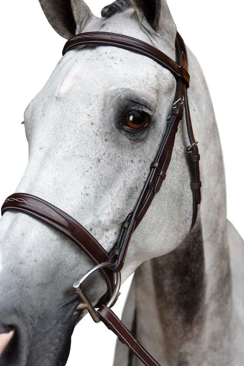 Red Barn Indio Hunter Bridle 4