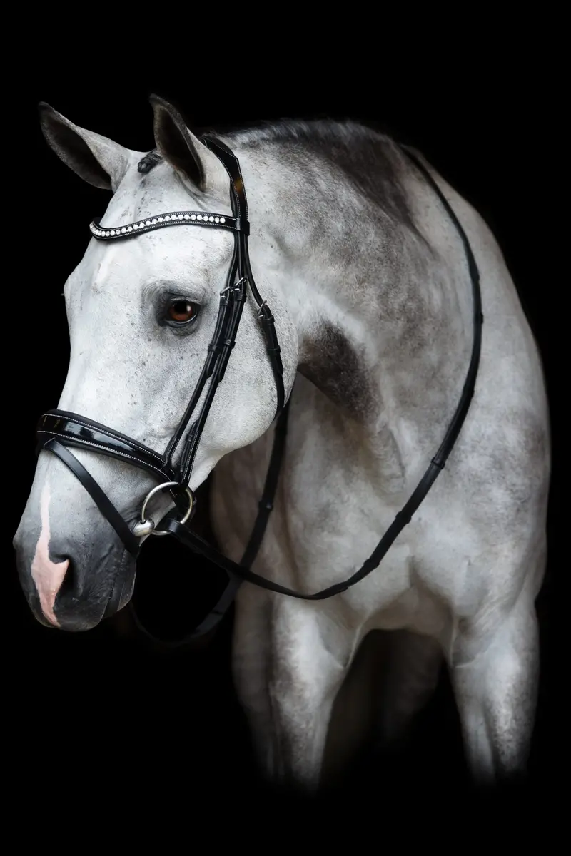 Red Barn Pace Bridle Patent Leather Flash 1