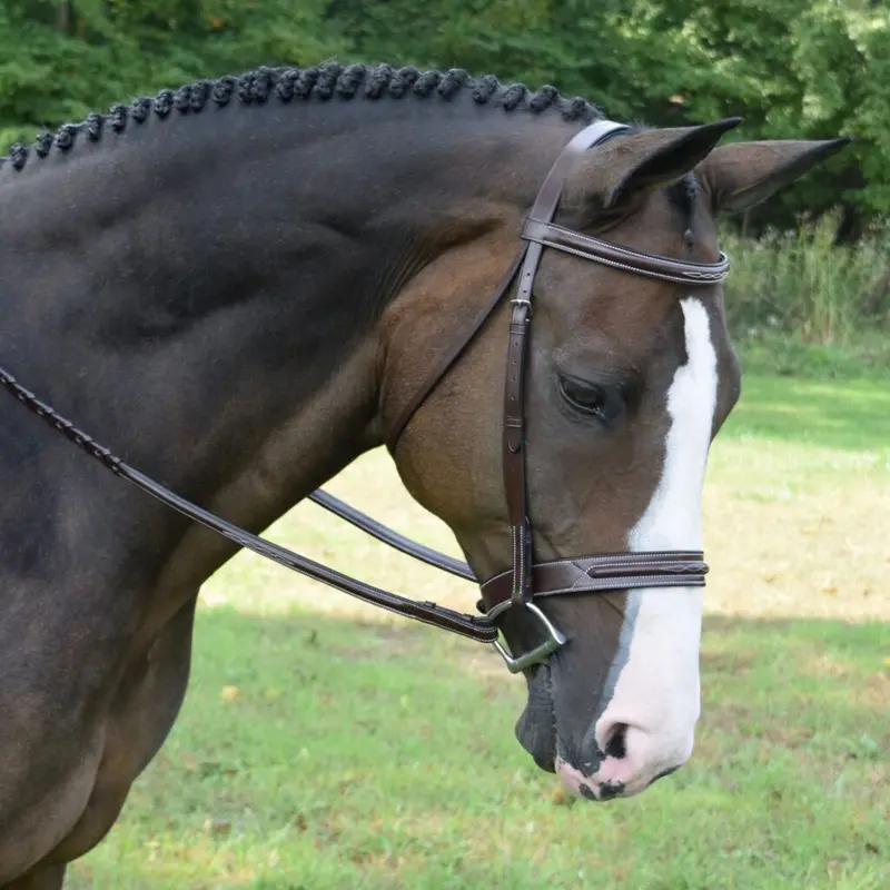 Red Barn Sonoma Bridle 1