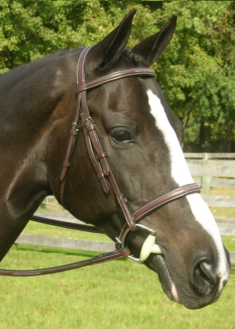 Red Barn Sovereign Fancy Stitched Bridle 1