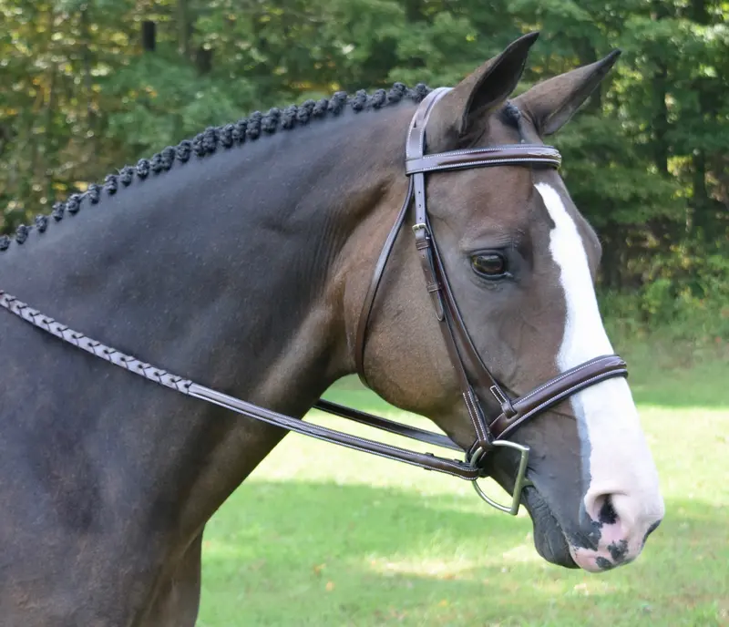 Red Barn Spirit Bridle 1