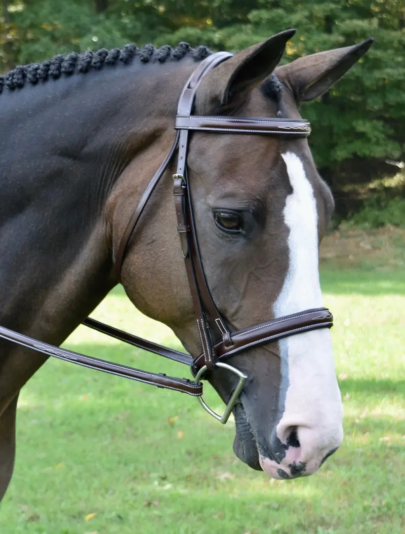 Red Barn Spirit Noseband 1