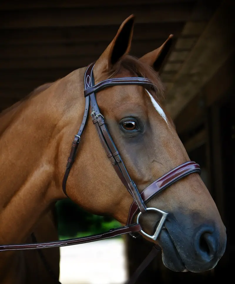 Red Barn Tuscany Padded Fancy Stitched Bridle 1