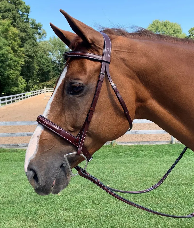 Red Barn Tuscany Padded Fancy Stitched Bridle 2