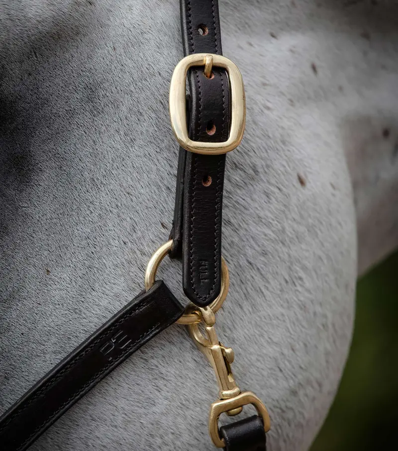 Rego Padded Leather Head Collar Brown 2