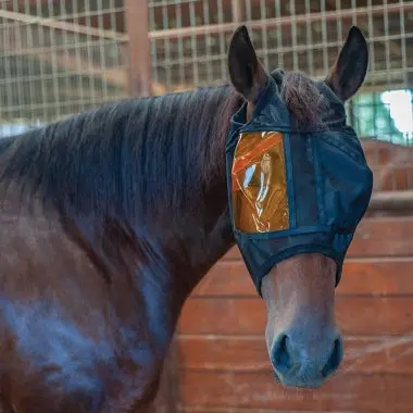 Rem Restoration Equine Mask 2