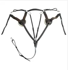 Rhc 5 Point Breast Plate 1