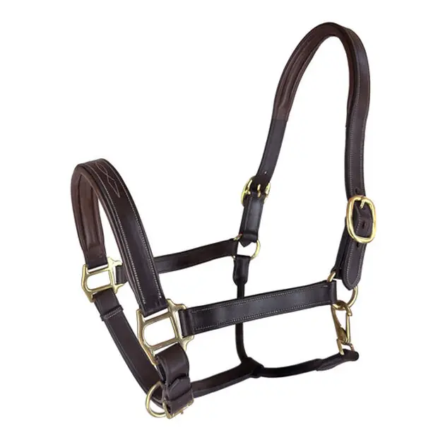 Rhc Padded Leather Halter With Fancy Double Stitch 1