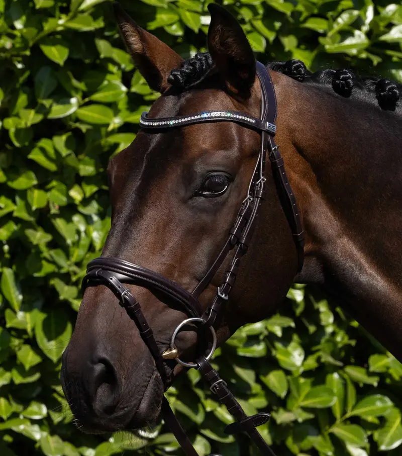 Rivere Snaffle Bridle Brown 1