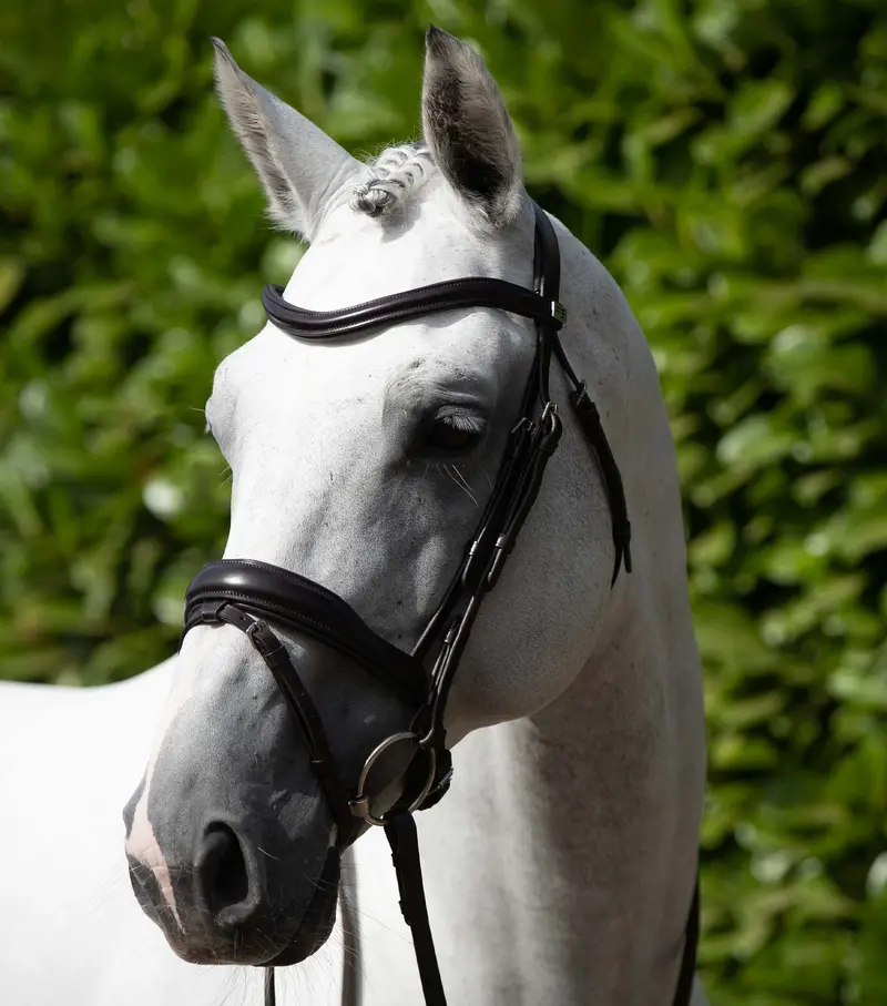 Rizzo Anatomic Snaffle Bridle With Flash Brown 1