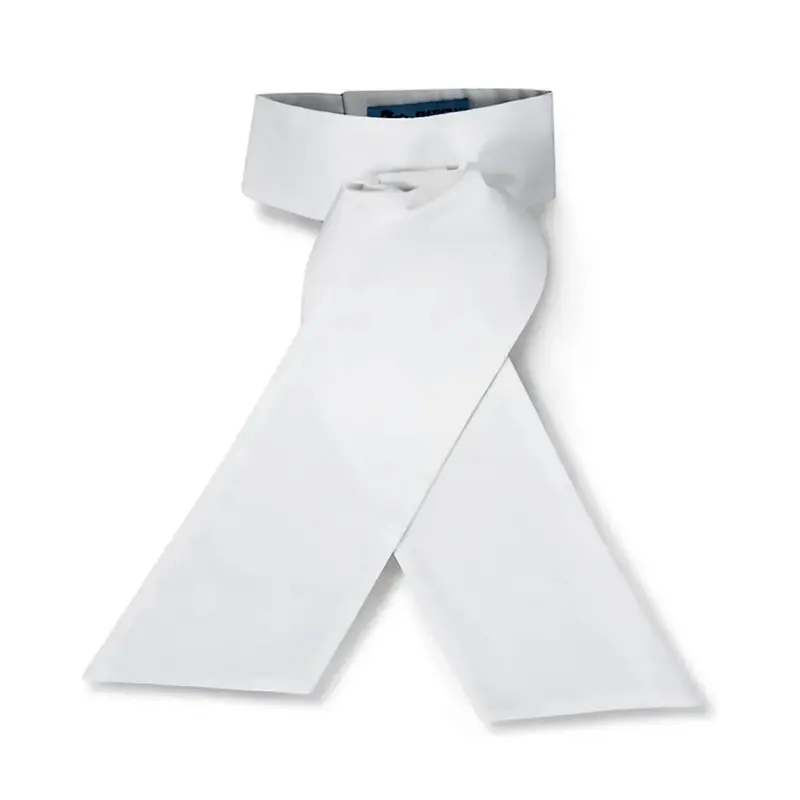 Rj Classics Camden Pre-Tied Stock Tie 1
