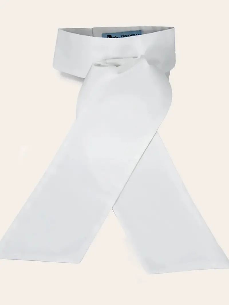 Rj Classics Radnor Traditional Stock Tie 1