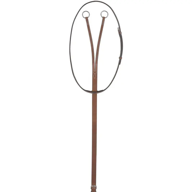 Rodrigo Pessoa Flat Running Martingale 1