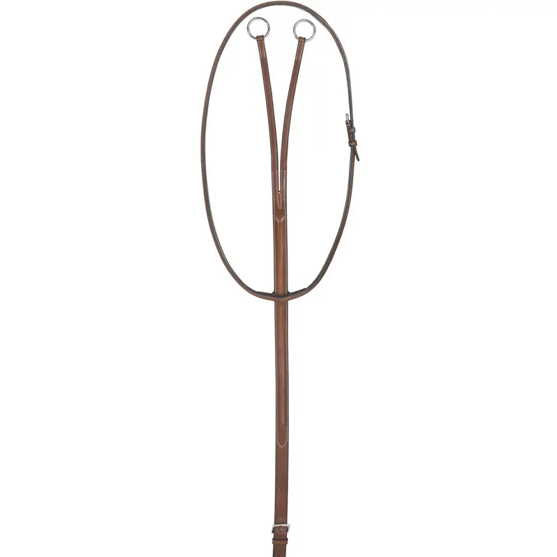 Rodrigo Pessoa Raised Running Martingale 1