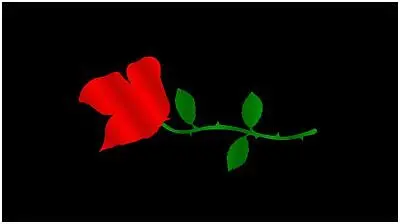 Rose Lazer-Tag Acrylic License Plate (Black) 1