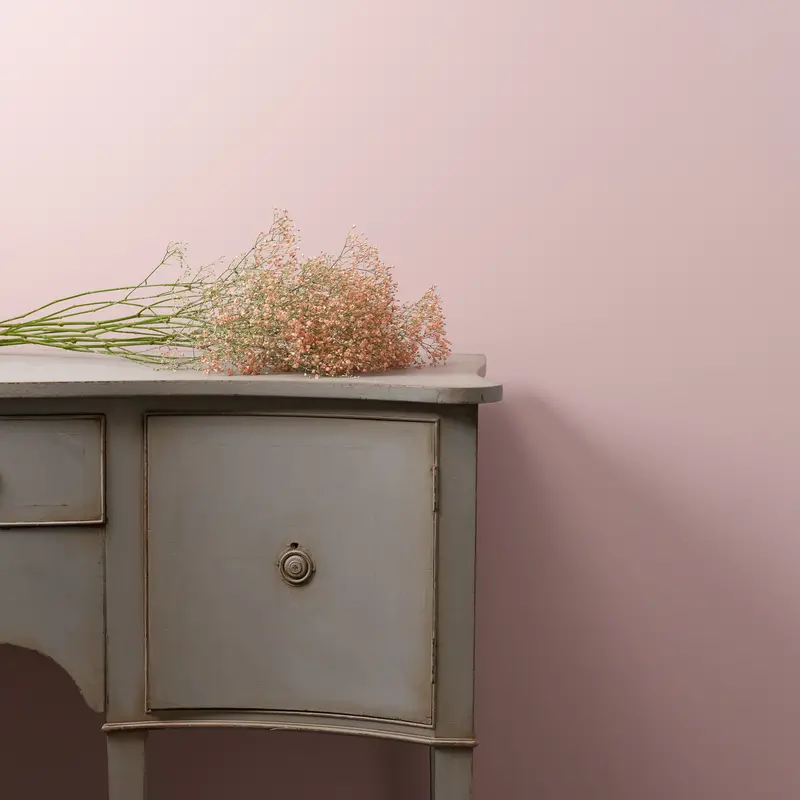 Rosy Dusk Wall Paint 2