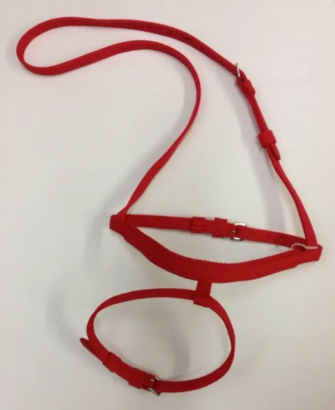 Rtm Nylon Flash Noseband 1