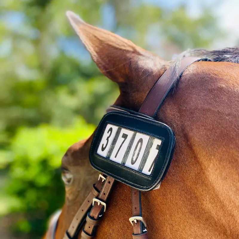 Sale Ace Equestrian Pro4mance | # I.D. (Qty. 2) 1