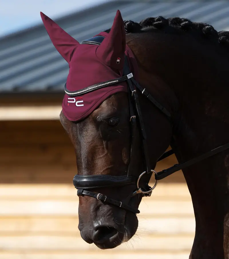 Sale Atlas Fly Veil Wine 1
