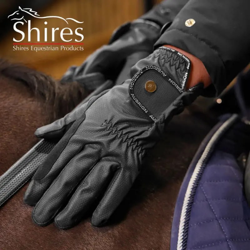 Sale Aubrion Stadium Winter Riding Glove 1