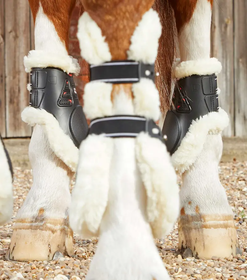 Sale Techno Wool Fetlock Boots Black 2