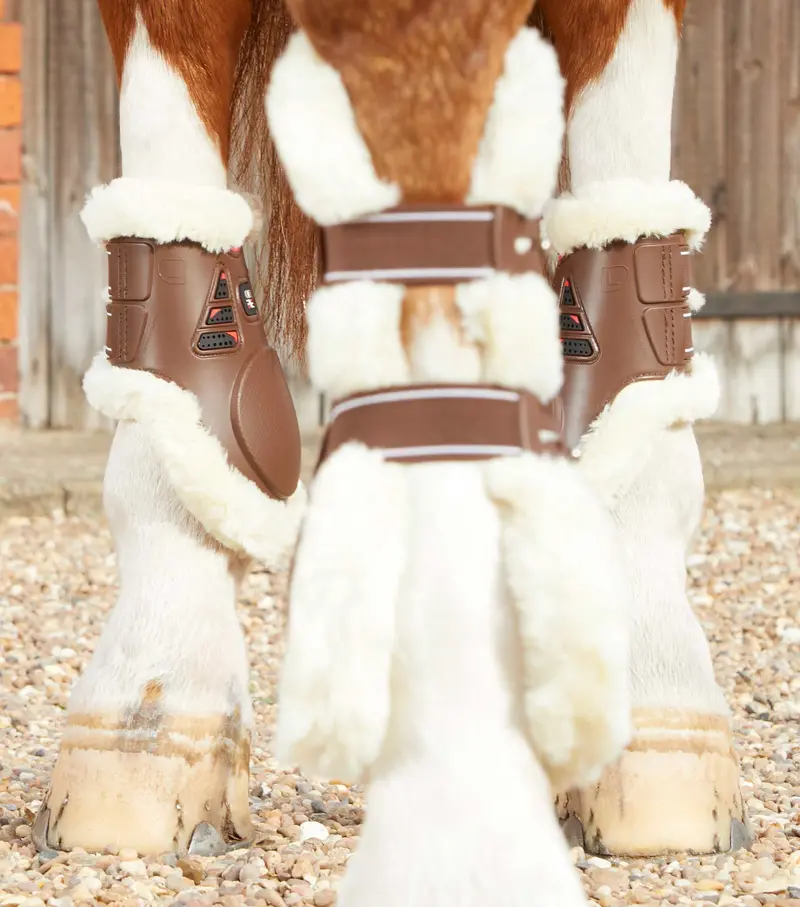 Sale Techno Wool Fetlock Boots Brown 2