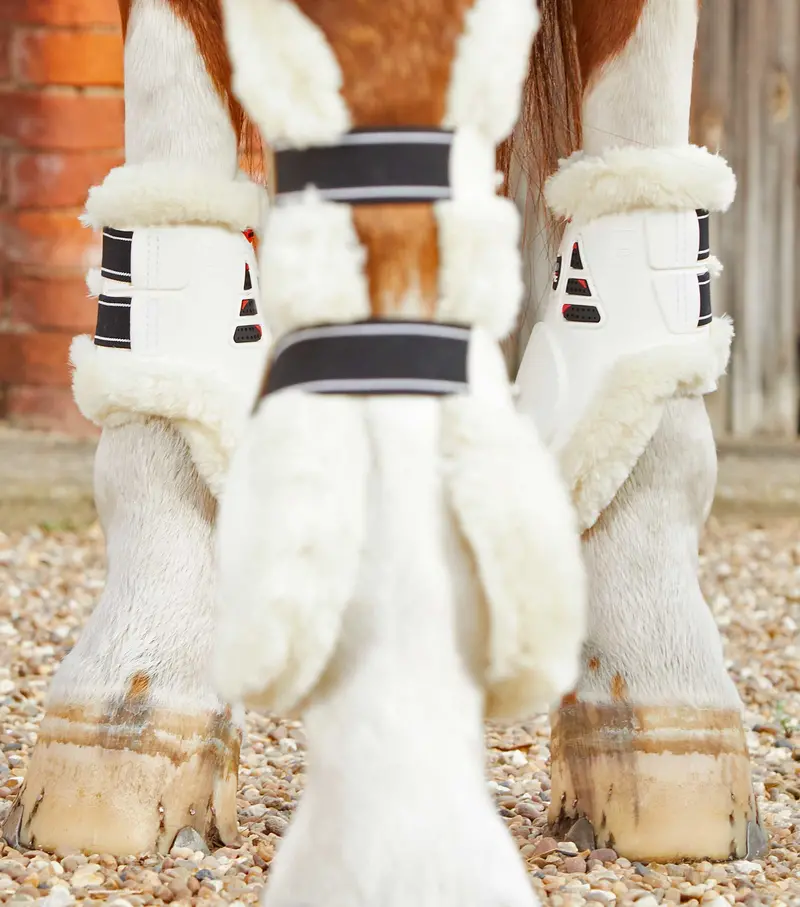 Sale Techno Wool Fetlock Boots White 2