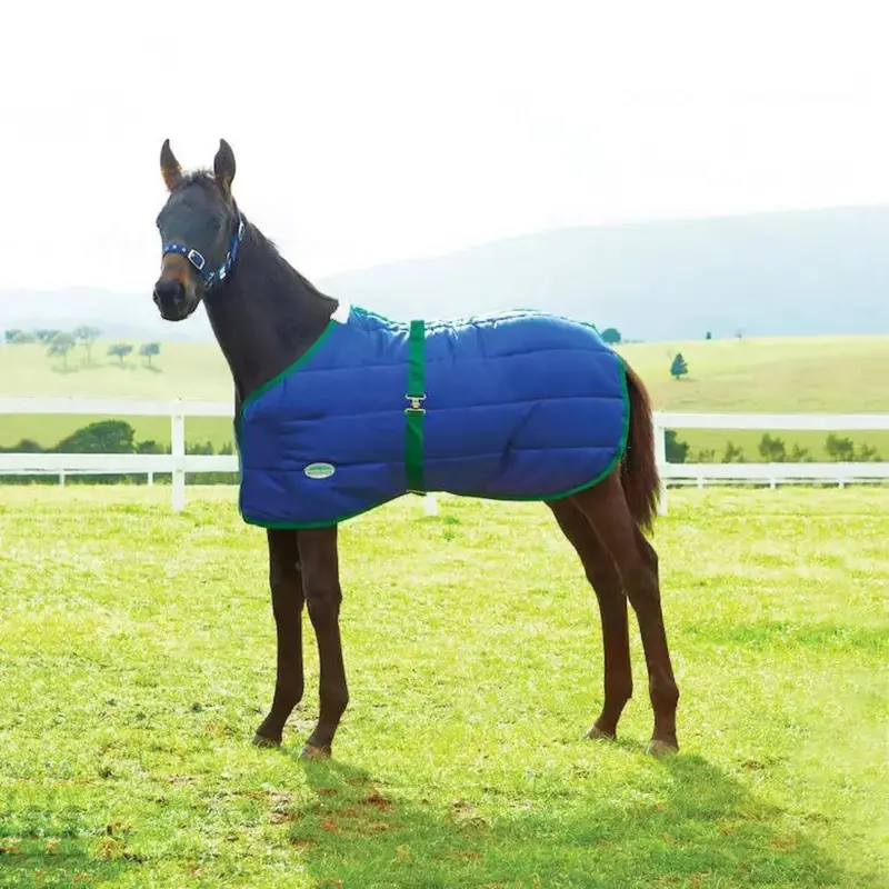 Sale Weatherbeeta 420D Foal Standard Neck Medium 1