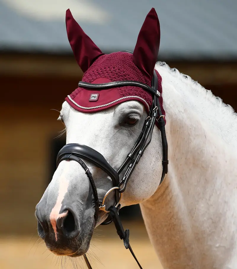 Salto Fly Veil Wine 1
