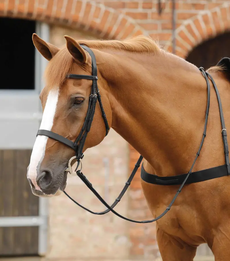 Salvatore Rubber & Leather Grip Reins Black 2