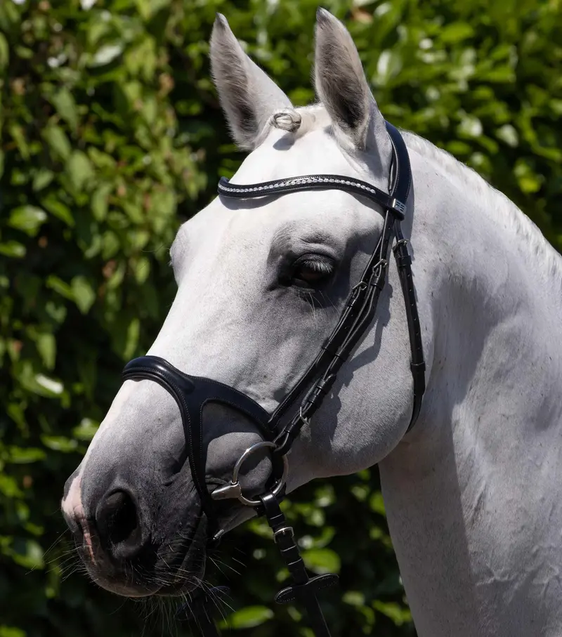 San Paolo Anatomical Bridle Black 1