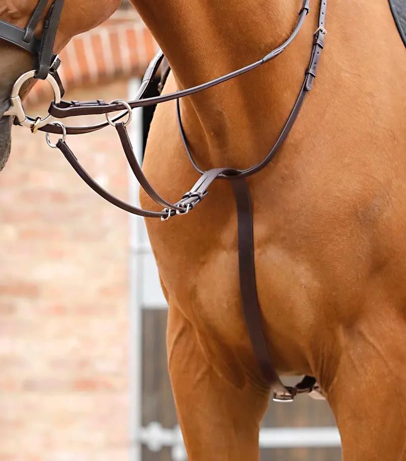 Santadi Adjustable Running Martingale Brown 1
