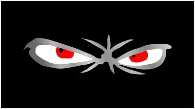Scary Eyes Lazer-Tag Acrylic License Plate (Black) 1