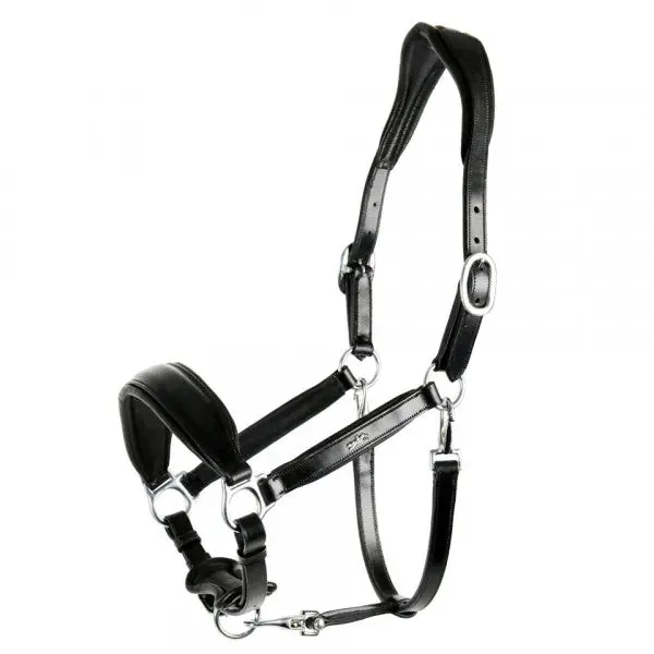 Schockemohle Fremont Grooming Halter 1
