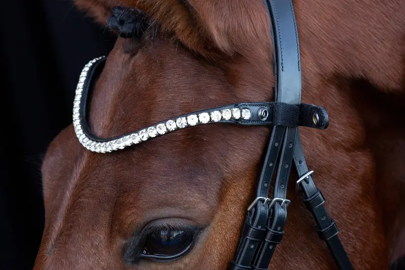 Schockemohle Siena Browband 1