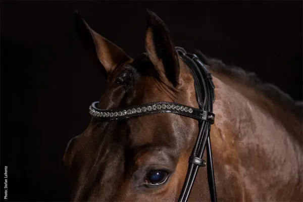 Schockemohle Westminster Bridle 1