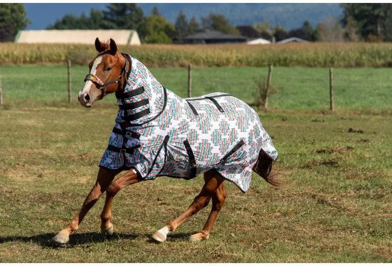 Schulz Equine Serape Aztec Fly Sheet 1