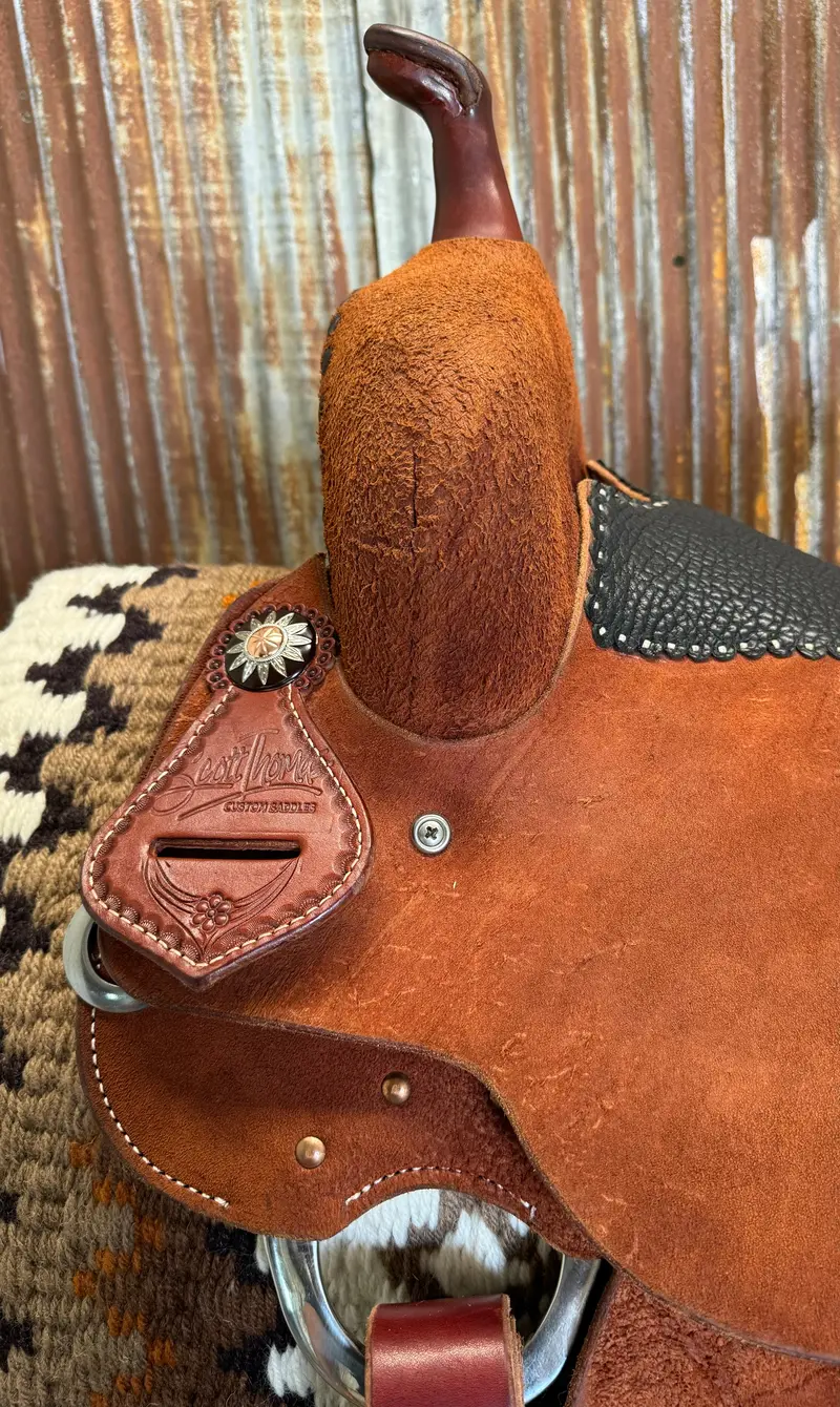Scott Thomas Custom Chestnut Barrel Racer 2