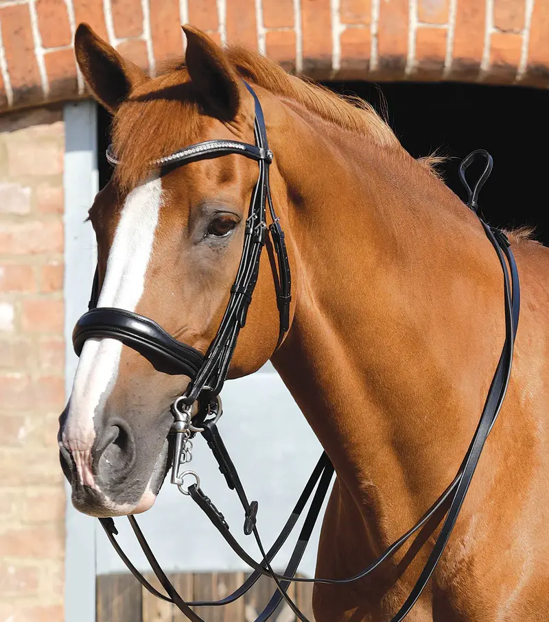 Senado Plain Leather Reins Black 2