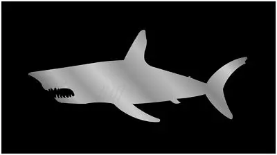 Shark Lazer-Tag Acrylic License Plate (Black) 1