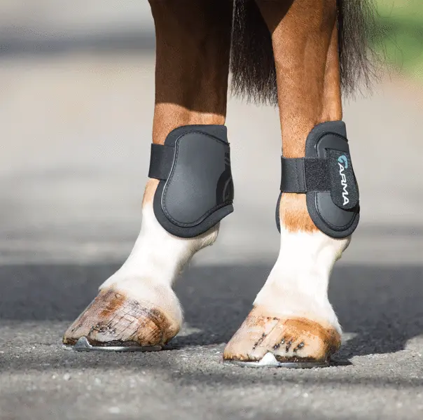 Shires Arma Rear Fetlock Boots - Black 1