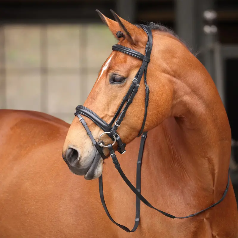 Shires Avignon Aspen Bridle Black 1