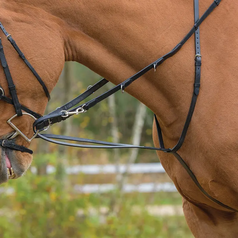 Shires Avignon German Martingale 1