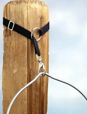 Shires Bucket Hook With Trigger Hook 1