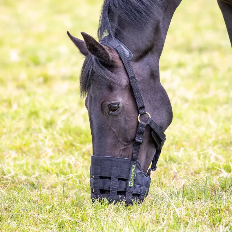 Shires Comfort Grazing Muzzle 5