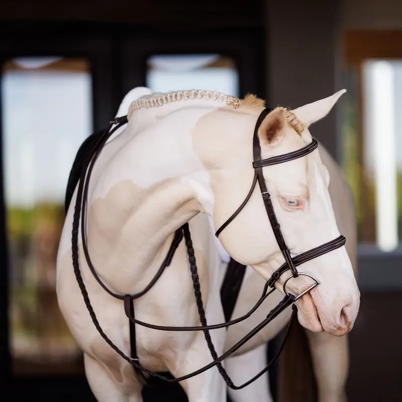 Shires Fancy Square Raised Padded Bridle With Laced Reins 1